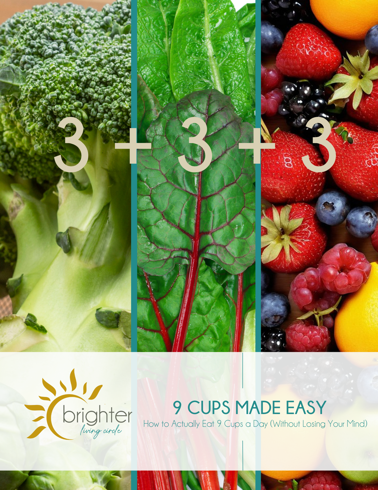 9 Cups Made Easy: Wahls Protocol Meal Planner & Tracker